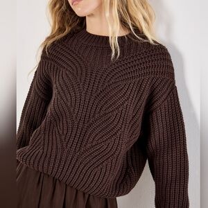 Chocolate Brown Sweater